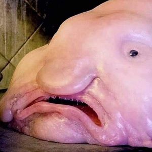 Meet your Posher, Cecilia